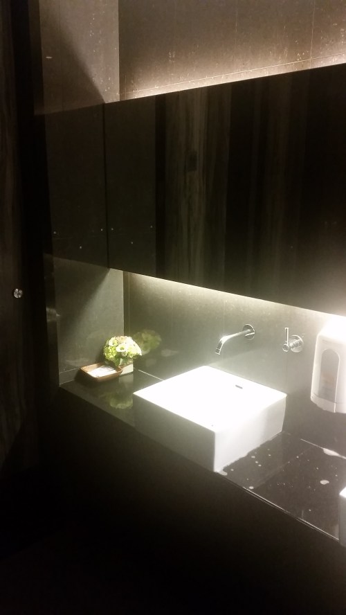 Clean, modern toilets