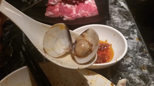 蛤蜊 (lala/clam)